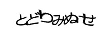 Authentication image