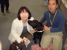 日本盲導犬協会