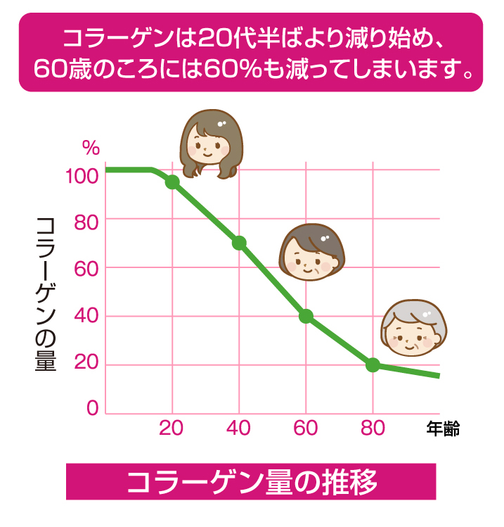 コラーゲン量の推移