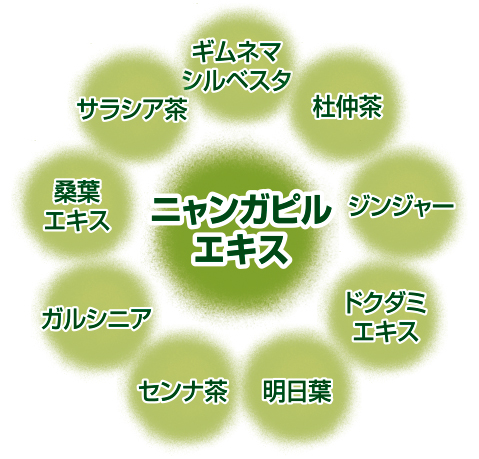 10種類のお茶成分を配合